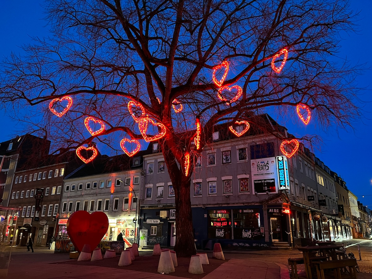 herzen-quartier-st-pauli-hamburg-daniela-sada-l7Ez9pmqxdw-unsplash Leuchtende Herzen in einem Baum auf St. Pauli in Hamburg