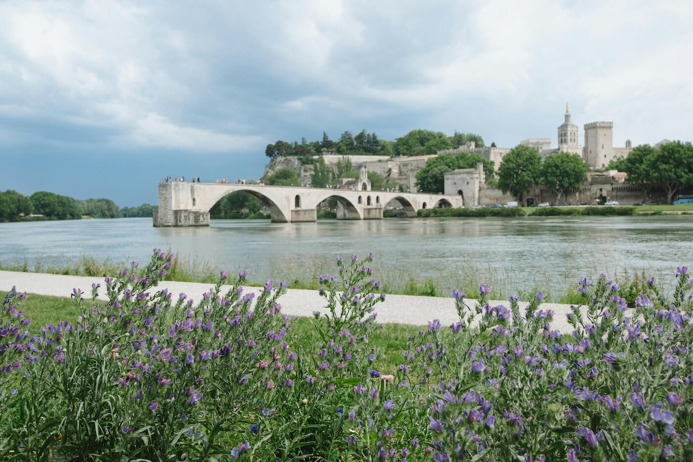 Bridge of Avignon
